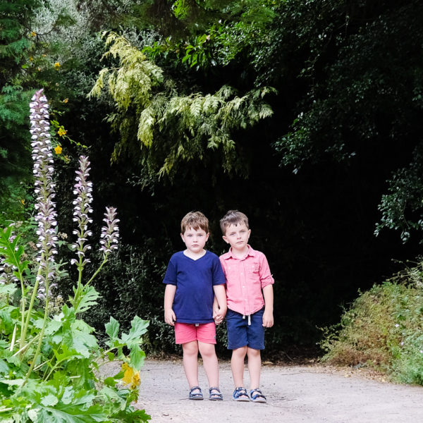 Family photo session - young brothers holding hands at Bath Botanical Gardens