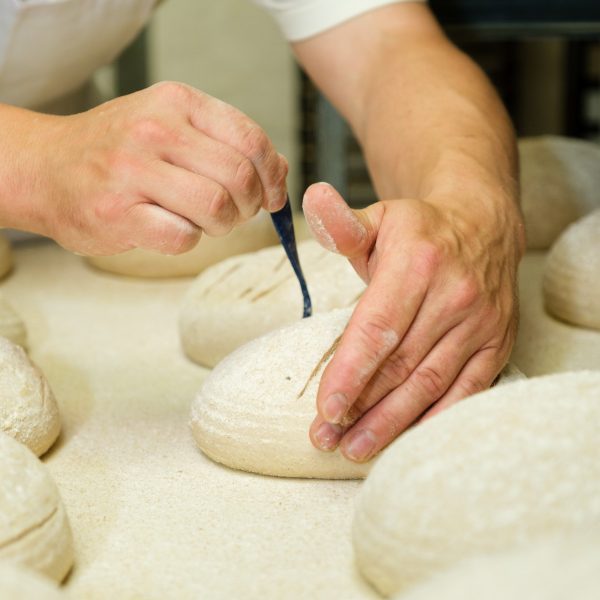 Business storytelling photography with a baker cutting freshly proven artisan bread just before baking