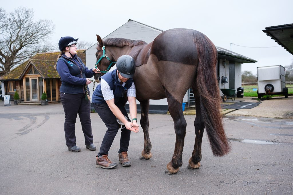 Equine veterinary surgeon and nurse hoof testing at Cliffe Equine Vets in East Sussex
